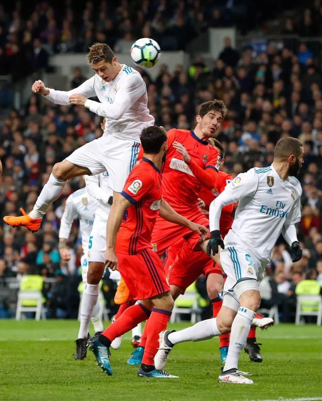 科尔的建议 科尔的建议